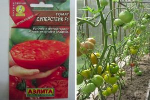 Descripción de la variedad de tomate Super Steak y su rendimiento y cultivo