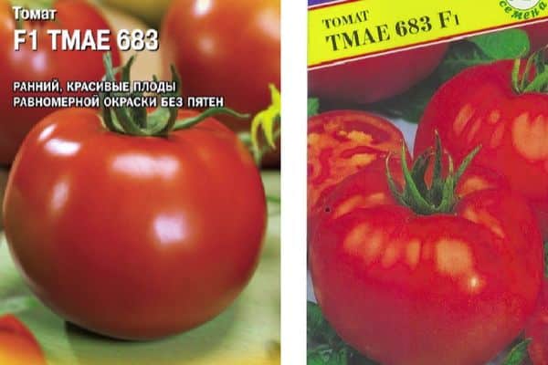 Ang mga hybrid na Tomato