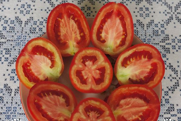 Sasmalcinātus tomātus