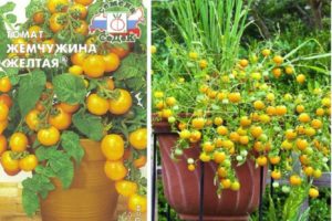 Descrizione della varietà di pomodori giallo perla e caratteristiche di coltivazione