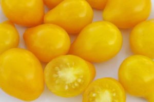 Description of the variety of tomatoes Golden Drop and Bifseller pink f1