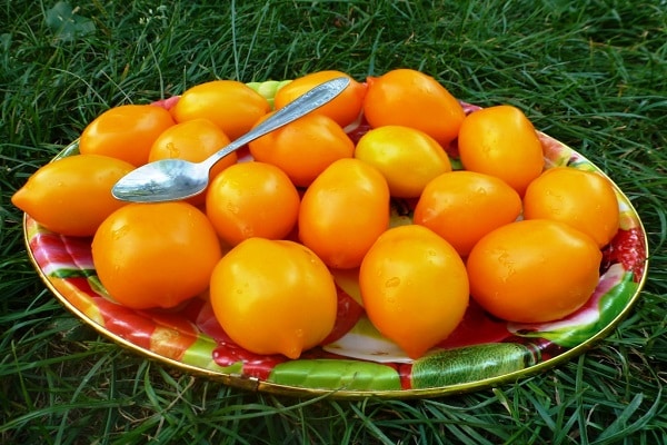 lyžica na paradajke