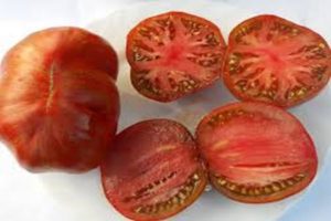 Berkeley Tai Dai -tomaattilajikkeen ominaisuudet ja kuvaus