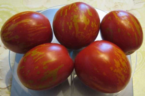 tomaten op de weegschaal