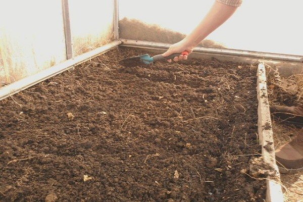 soil for autumn