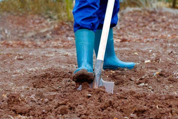excavant el sòl