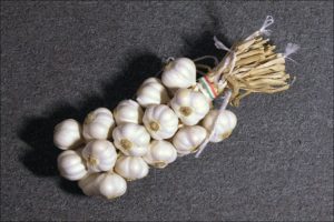Come legare e intrecciare l'aglio per la conservazione secondo lo schema?