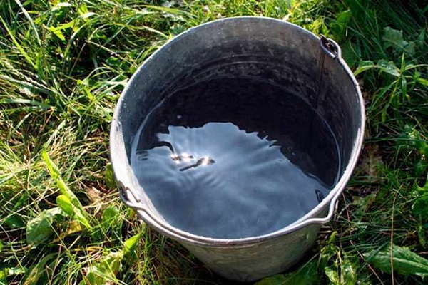 a bucket of water
