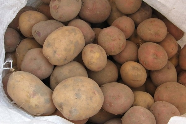 sorter potatis