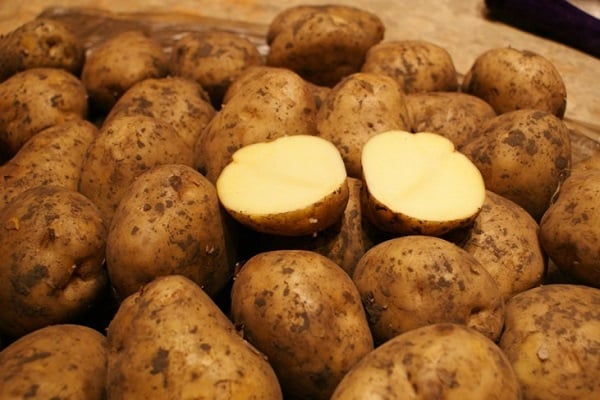 Riviera-aardappelen