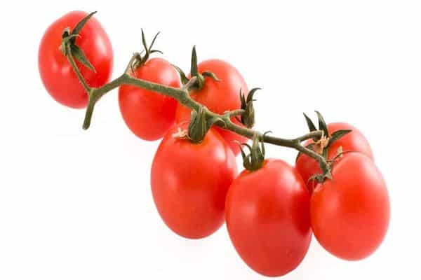 karper tomaat