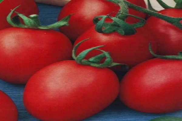 tomato lagidny