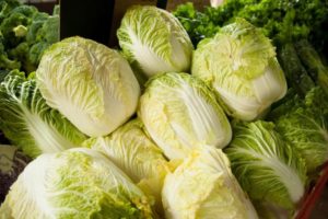 Description and cultivation of the best varieties of Peking cabbage