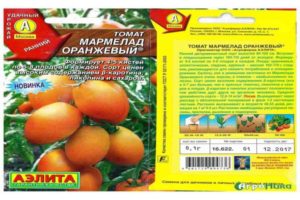 Descripció i característiques de les varietats de tomàquet Melmelada de taronja