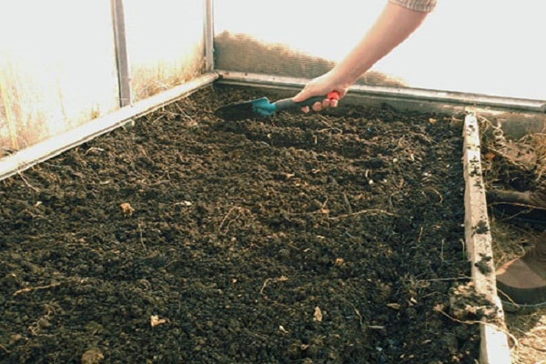 préparation du sol