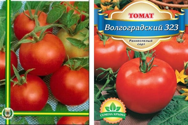 pomidorų sėklos Volgogradas 323