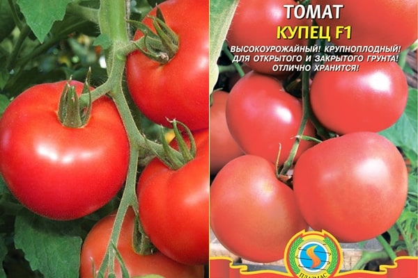 pomidorų sėklų prekybininkas