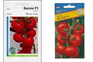 Pomidorų veislės Bellé f1 aprašymas, jo ypatybės ir auginimas