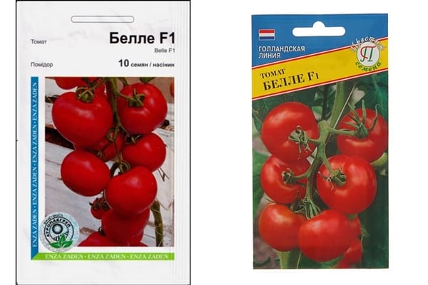 bellé tomato variety