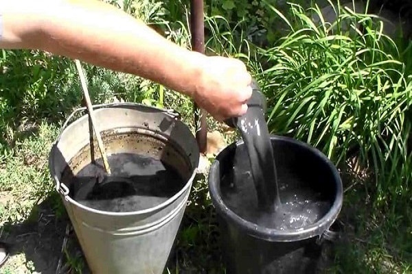 preparing water