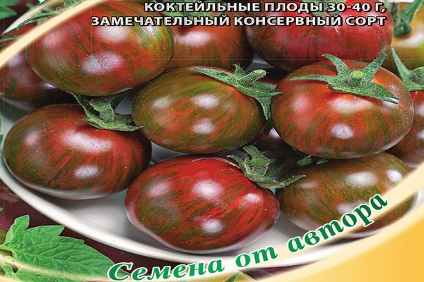 výsadba paradajok