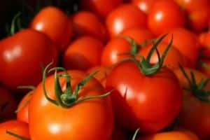 De bedste sorter af tomater til åben jord i Bashkiria