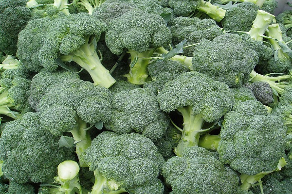 repolyo f broccoli
