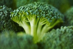 Las mejores semillas de brócoli con descripciones
