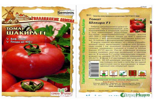 shakira-tomaatti