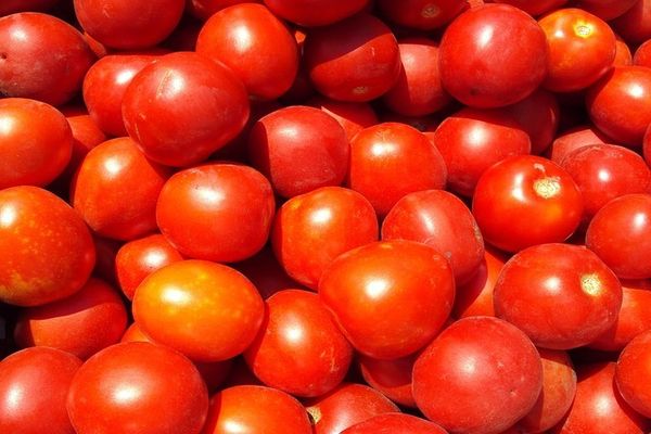 veľa paradajok