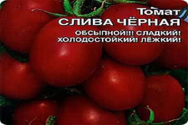 tomaat beschrijving