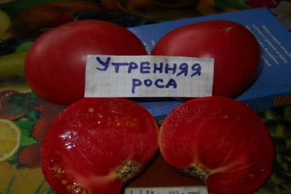 tomate resistente al calor