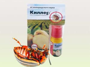 Instrucciones de uso de la droga Killer del escarabajo de la patata de Colorado.