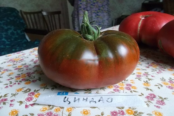 Qingdao tomato