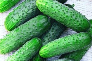 Kenmerken en beschrijving van de Othello-komkommersoort