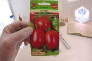 Descripción de la variedad de tomate Bochata, características y cultivo.