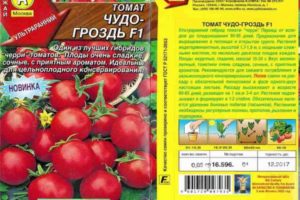 Descripción de la variedad de tomate Racimo Miracle F1 y sus características