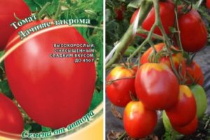 Opis odrody rajčiakov a ich charakteristika