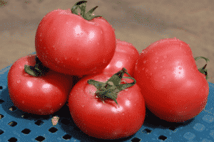 Beschreibung der Esmira-Tomatensorte, ihrer Eigenschaften und ihres Ertrags