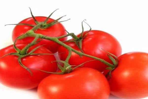 tomaat funtik