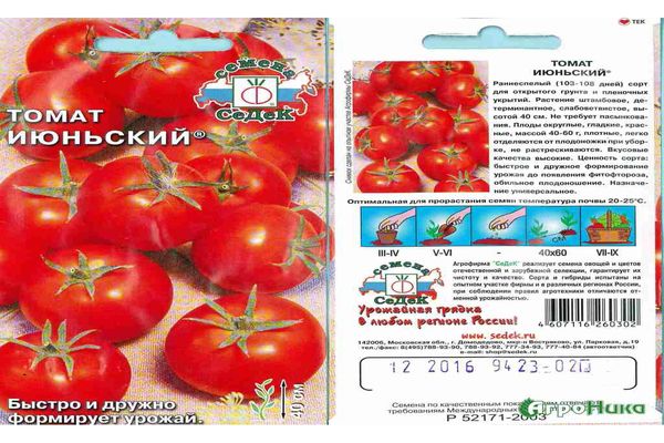 tomaatin siemenet