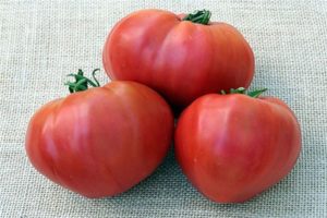 Características y descripción de la variedad de tomate de Kosovo.