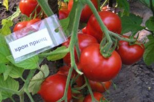 Descripción de la variedad de tomate Cron Prince y sus características