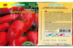 Standartinės pomidorų veislės „Lokomotiv“ aprašymas ir jo savybės