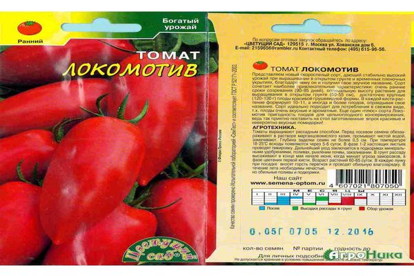 caractéristique des tomates