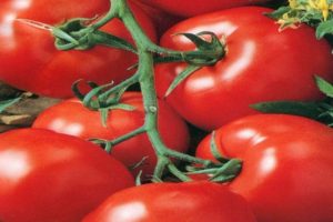 Características y descripción de la variedad de tomate Mars F1, rendimiento