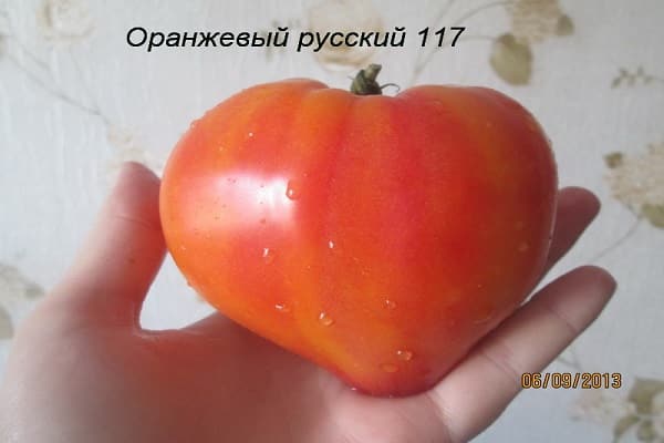 pieles de tomate