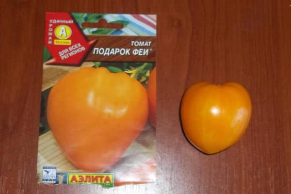 fremragende tomater