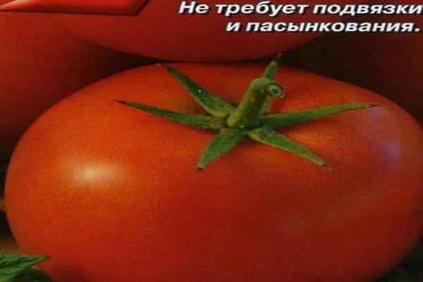 domates çeşidi