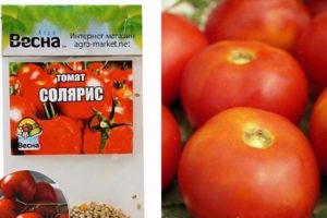 Solaris tomātu šķirnes apraksts, audzēšanas īpatnības